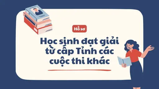 Hồ sơ học sinh đạt giải từ cấp Tỉnh các cuộc thi khác